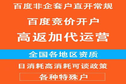 成功案例分享：SEM推广策略的制定与执行